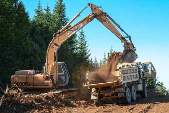 Kasino Golden Crown Podpora